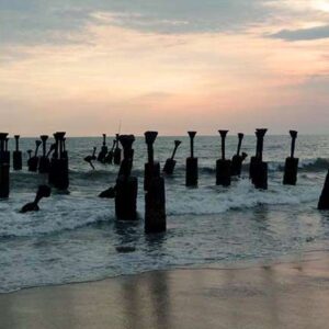 Wayanad - Calicut Package