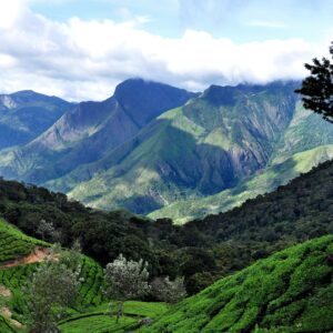 Wayanad Package